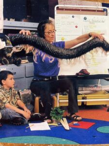 Anet Teaching